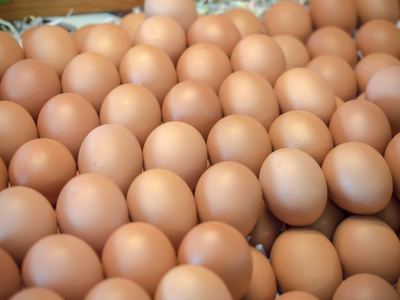 一堆鸡蛋图片