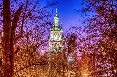 夜 lviv 城市风景在长的曝光