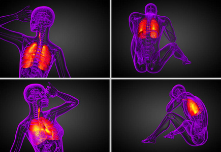 3d 渲染医学插图的人类呼吸道系统