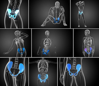 3d 渲染医学插图的骨盆骨