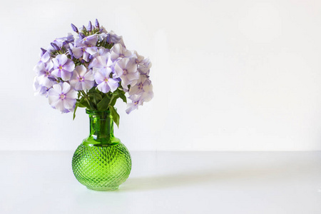 在白色背景上的绿色玻璃花瓶蓝夹竹桃的花束