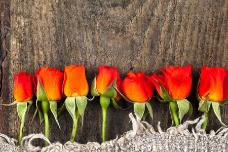 红玫瑰上木板，情人节背景