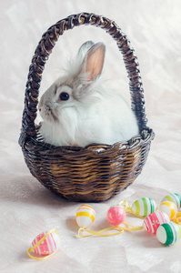 在复活节鸡蛋篮子里的兔子