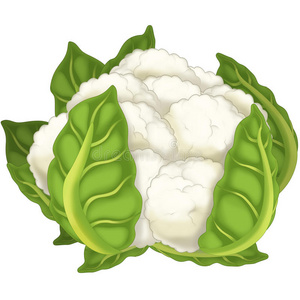 码枪卡通蔬菜-儿童插画-xxl码照片