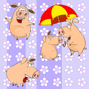 可爱有趣的猪