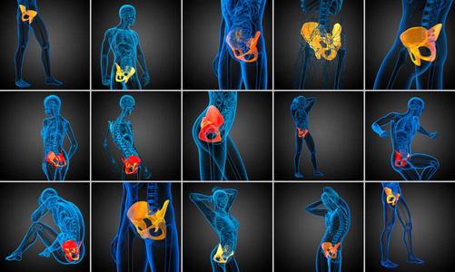 3d 渲染医学插图的骨盆骨