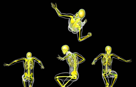 3d 渲染医学插图的人体骨架