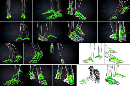 3d 渲染医学插图的足骨
