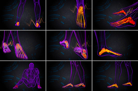 3d 渲染医学插图的足骨