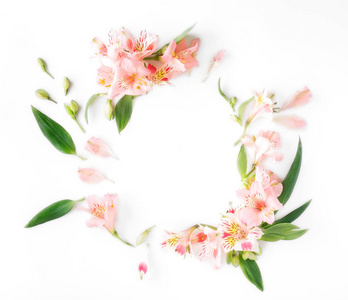 树叶和花瓣图片