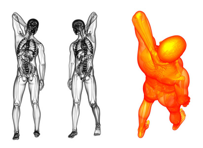 3d 渲染医学插图的人