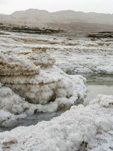 死海的春天的看法和单色宏观拍摄的