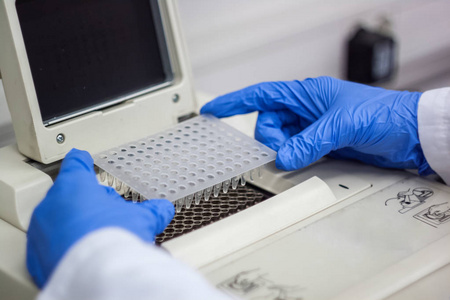 科学家或研究员或博士生放入 pcr dna 样本