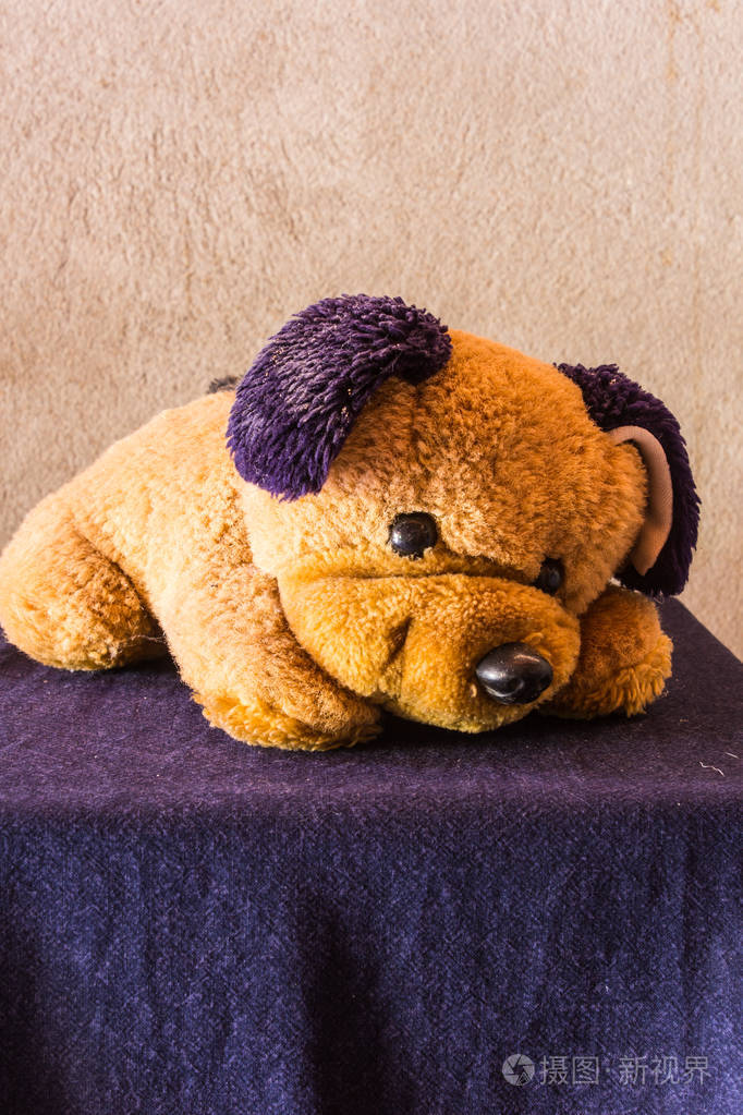 静物画可爱的小狗棕色娃娃照片-正版商用图片0xzx9g-摄图新视界