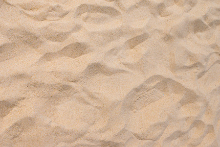 细的沙子在夏日的阳光