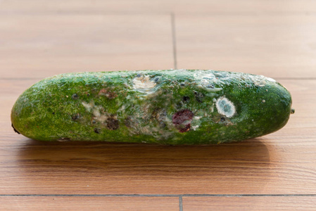腐烂和发霉光滑的丝瓜照片