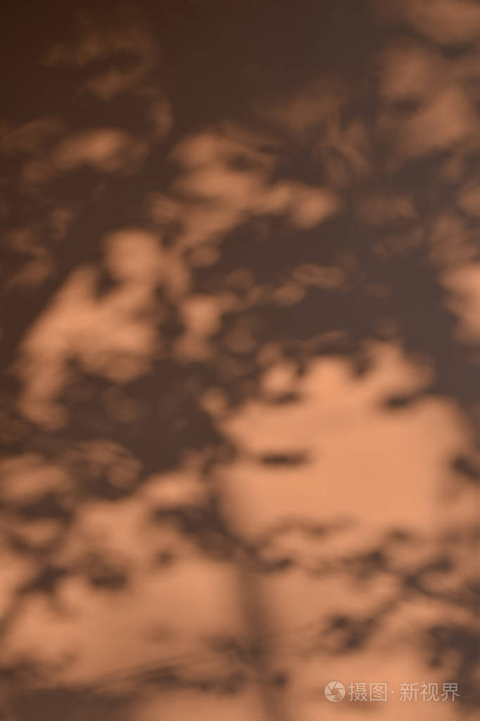 树阴影在棕色混凝土墙壁背景