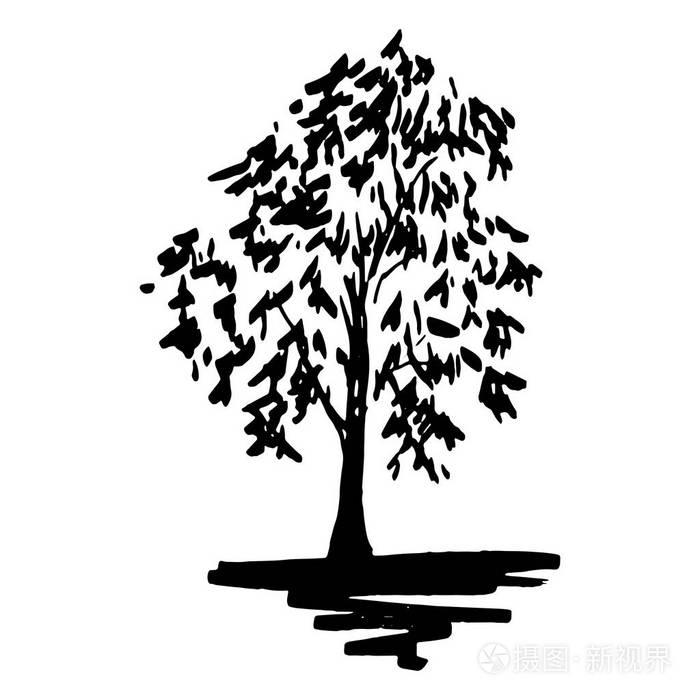 单色的树的剪影草绘的线艺术孤立的矢量