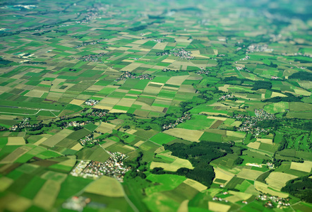 正方形字段图片