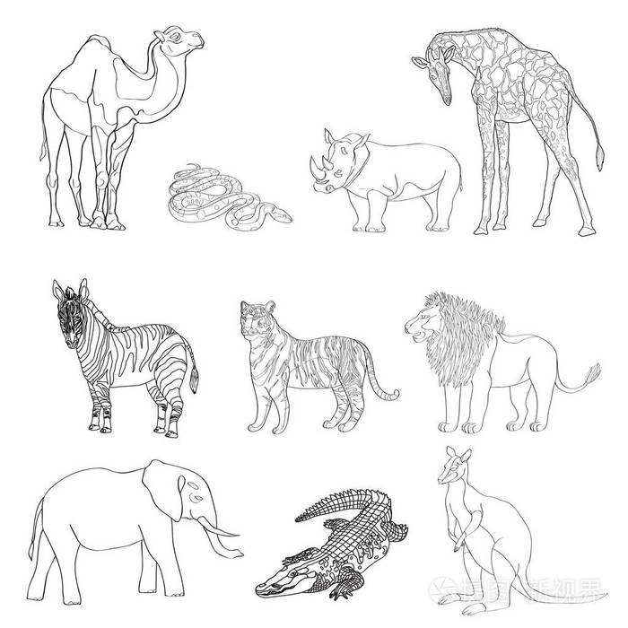 矢量图动物动物的形象黑色和白色线大象袋鼠骆驼狮子斑马犀牛长颈鹿蛇