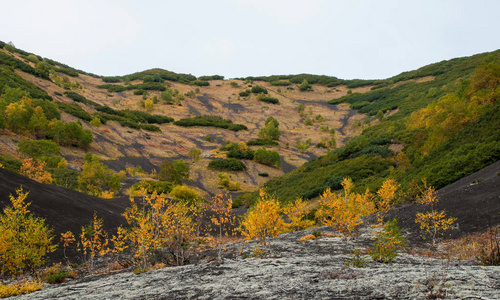 山区的堪察加半岛的秋景