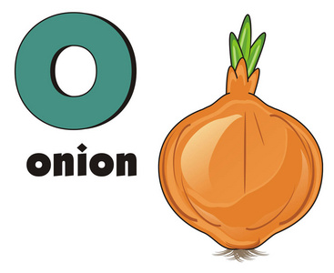 replic洋葱用词和标牌照片