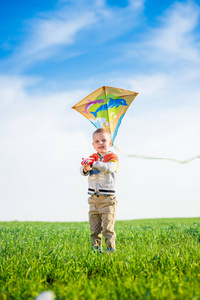 年轻男孩玩耍着他的风筝在绿色的原野