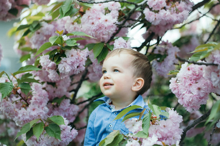 可爱的小宝贝男孩之间粉红盛开的花朵