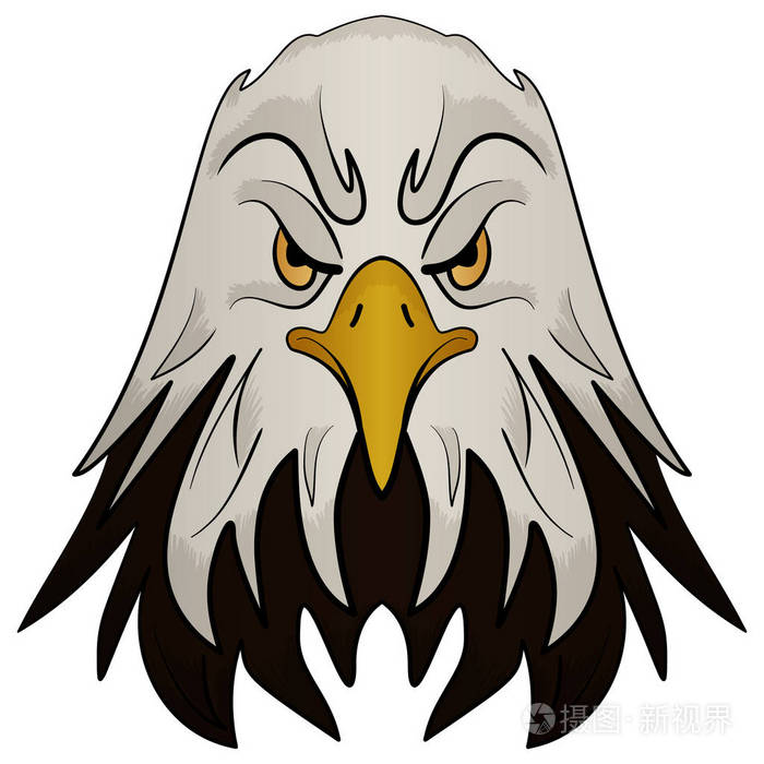 一只鹰的吉祥物头