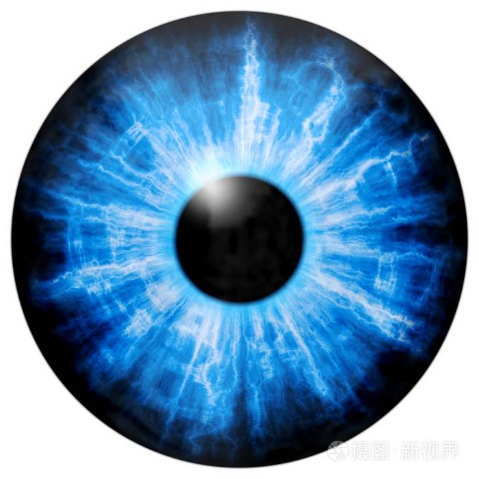 蓝色的眼睛虹膜反射光的插图