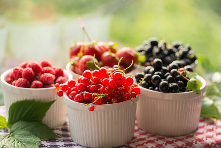 明亮成熟的浆果草莓，蓝莓，覆盆子，醋栗，桑椹在白色的碗上的彩色餐巾。 日光背光