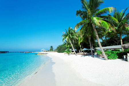 在白天，马尔代夫的热带岛屿的美丽的自然景观