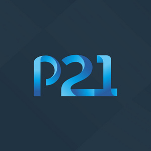字母与数字的 P21 徽标