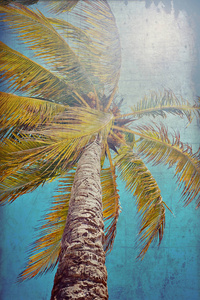 棕榈树上的叶子对背景天空阳光复古色调的纹理卡复古