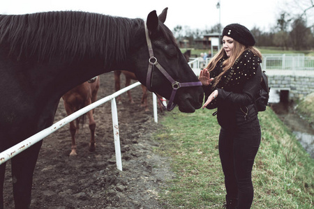 美丽的金发女孩喂一只手从一匹马