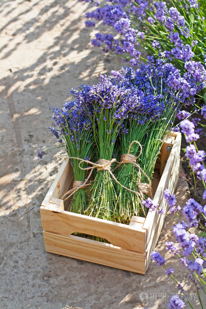 薰衣草在花园里的木盒子里的花束