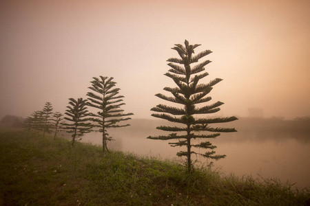 景观的早上雾，泰国