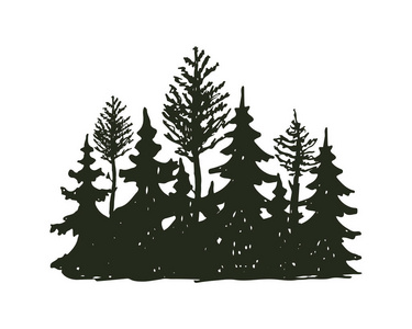 树户外旅行黑色剪影针叶林自然徽章，顶部松树云杉分支雪松和植物叶抽象干绘制矢量图