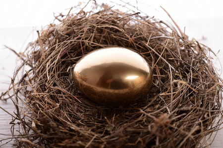 与传统画金蛋在木头，古色古香的鸟巢