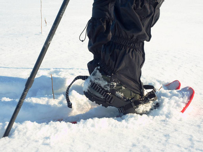 人与雪的双腿在雪中散步。详细的冬季徒步在雪堆里，雪地行走