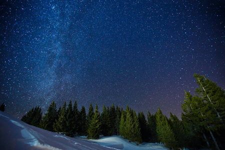 美丽风景的冬季星空夜空之上松林，长时间曝光照片的午夜星星和白雪森林景观