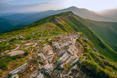 多姿多彩的夏天景观在喀尔巴阡山