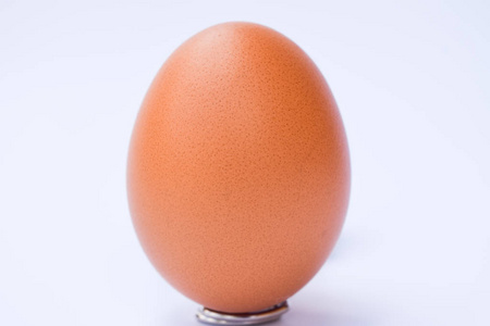 孤立在白色背景上的蛋