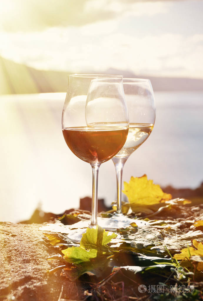 在反对日内瓦湖的杯中酒