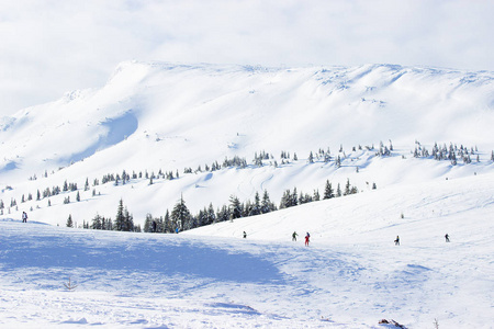 美丽明亮，阳光明媚的雪山和山地森林景观。冬季旅游