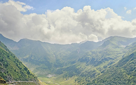 Fagaras 山，喀尔巴阡与绿色的草和松树森林