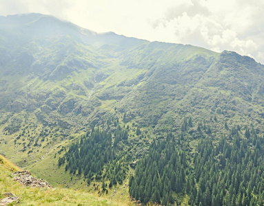 喀尔巴阡山脉 绿色森林松 Fagaras 丘陵