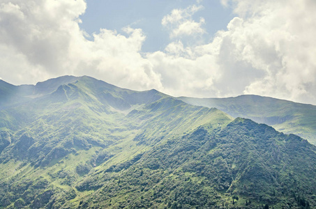 喀尔巴阡山脉 绿色森林松 Fagaras 丘陵