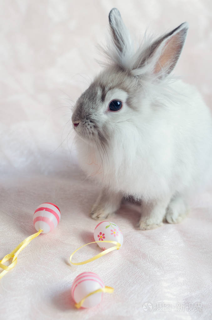 复活节彩蛋兔
