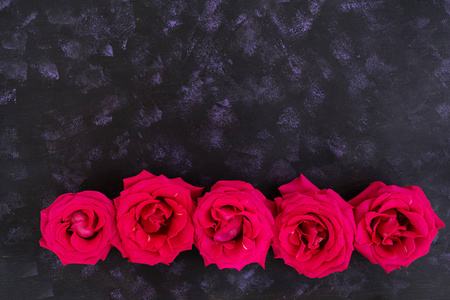 在黑暗的背景的粉红色玫瑰。顶视图